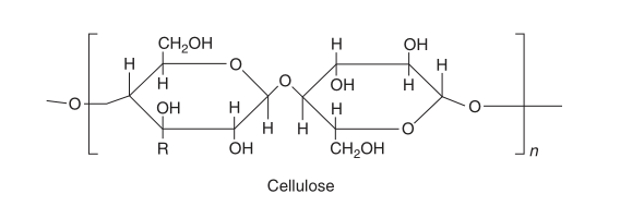 cellulose-molecular