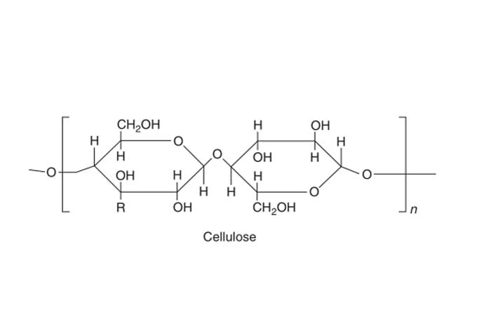 Cellulose-molecular-structure-700X465